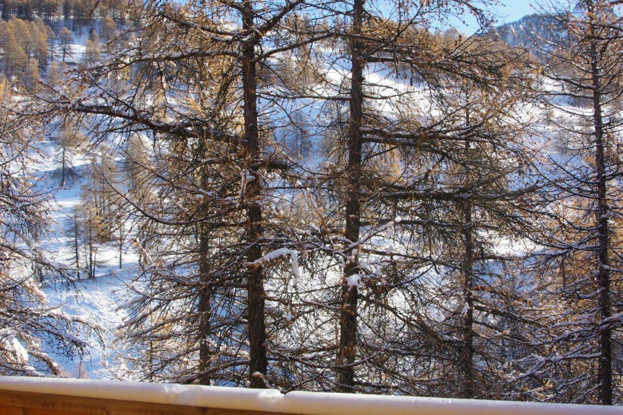 Spacieux Et Fonctionnel Dans Ecrin Des Neiges Vars  Exterior foto